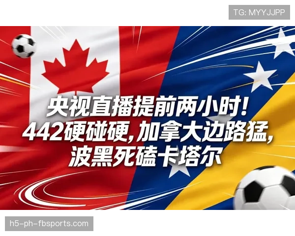 卡塔尔对波黑战报:1-3失利结束征程 卡塔尔对波黑战报:1-3失利结束征程